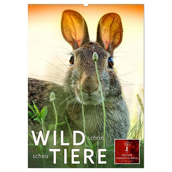 Wildtiere - schön und scheu (Wandkalender 2024 DIN A2 hoch), CALVENDO Monatskalender, Peter Roder
