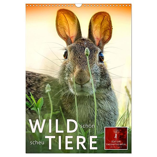Wildtiere - schön und scheu (Wandkalender 2025 DIN A3 hoch), CALVENDO Monatskalender, Calvendo, Peter Roder