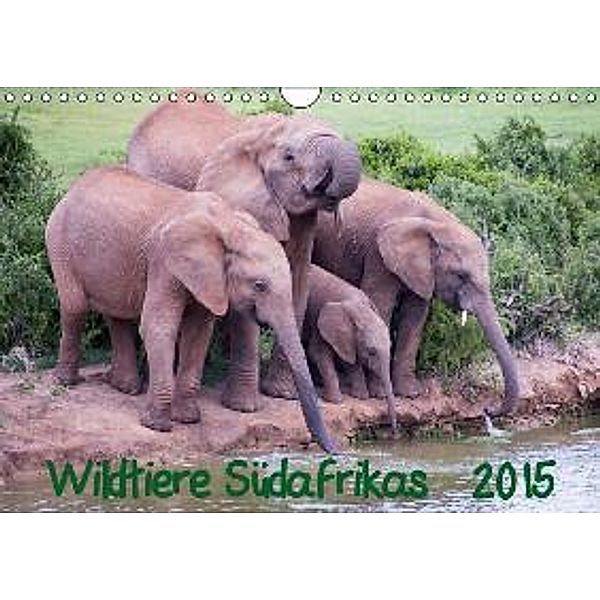 Wildtiere Südafrikas / Geburtstagskalender (Wandkalender 2015 DIN A4 quer), Robert Beringer