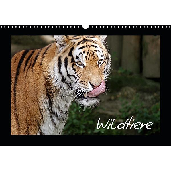 Wildtiere (Wandkalender 2021 DIN A3 quer), Katrin Zeller und Christian Kiedy