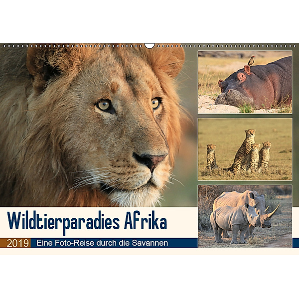 Wildtierparadies Afrika - Eine Foto-Reise durch die Savannen (Wandkalender 2019 DIN A2 quer), Michael Herzog