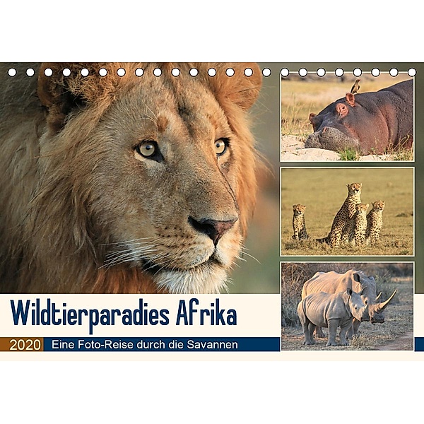 Wildtierparadies Afrika - Eine Foto-Reise durch die Savannen (Tischkalender 2020 DIN A5 quer), Michael Herzog