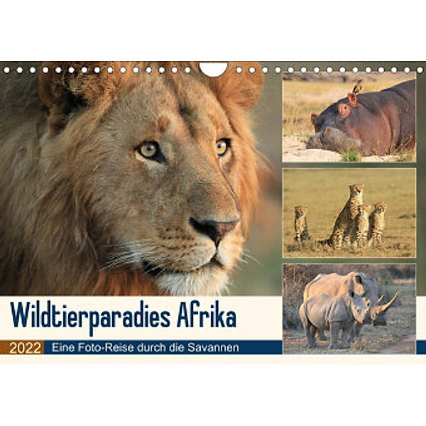 Wildtierparadies Afrika - Eine Foto-Reise durch die Savannen (Wandkalender 2022 DIN A4 quer), Michael Herzog