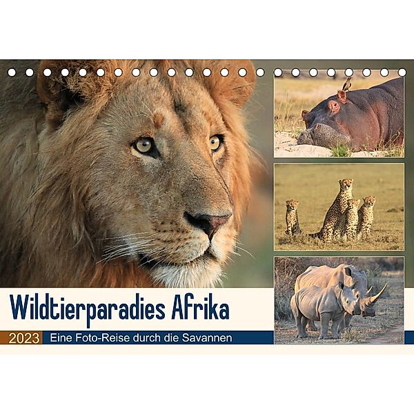 Wildtierparadies Afrika - Eine Foto-Reise durch die Savannen (Tischkalender 2023 DIN A5 quer), Michael Herzog