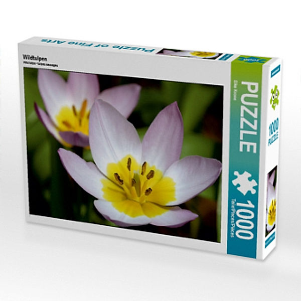 Wildtulpen (Puzzle), Elke Krone