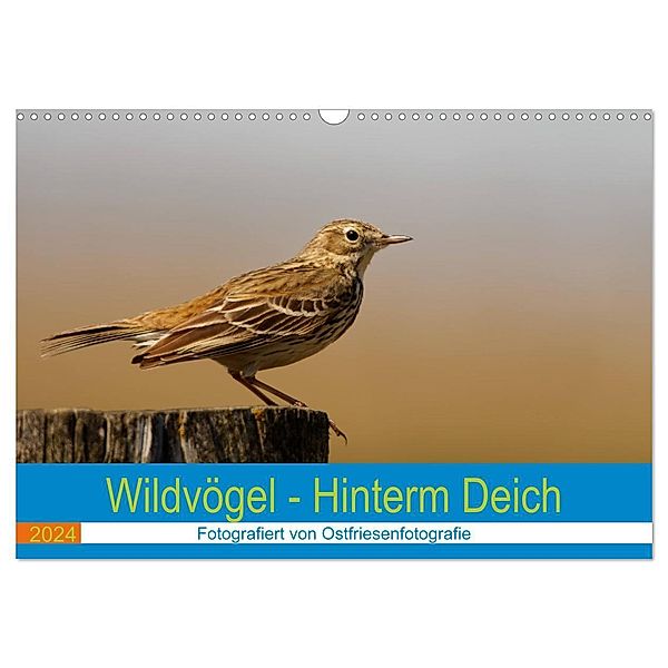 Wildvögel - Hinterm Deich (Wandkalender 2024 DIN A3 quer), CALVENDO Monatskalender, Christina Betten - Ostfriesenfotografie