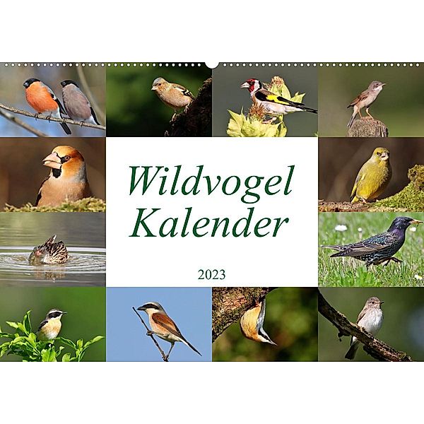 Wildvogelkalender (Wandkalender 2023 DIN A2 quer), Leo Bucher