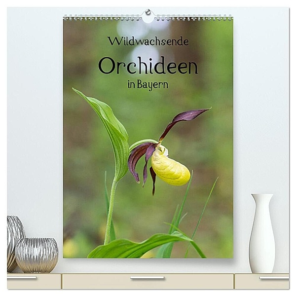 Wildwachsende Orchideen in Bayern (hochwertiger Premium Wandkalender 2024 DIN A2 hoch), Kunstdruck in Hochglanz, Christian Birzer