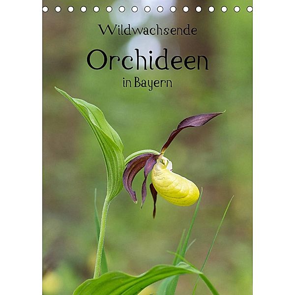 Wildwachsende Orchideen in Bayern (Tischkalender 2023 DIN A5 hoch), Christian Birzer