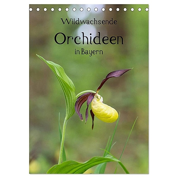 Wildwachsende Orchideen in Bayern (Tischkalender 2024 DIN A5 hoch), CALVENDO Monatskalender, Christian Birzer