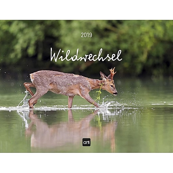 Wildwechsel 2019