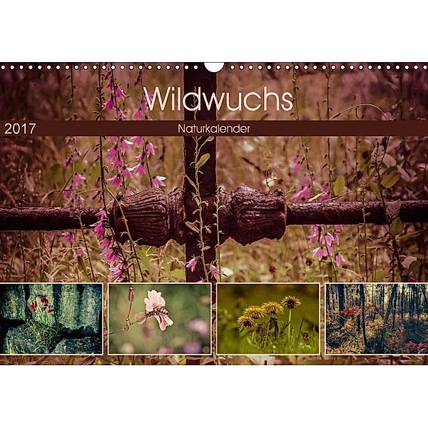 Wildwuchs 2017 (Wandkalender 2017 DIN A3 quer), Marianne Drews