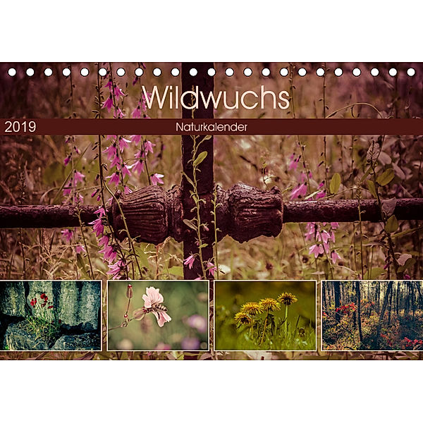 Wildwuchs 2019 (Tischkalender 2019 DIN A5 quer), Marianne Drews