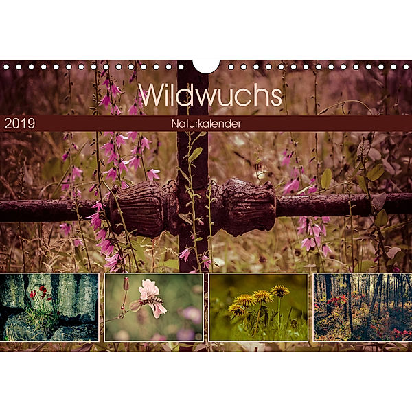 Wildwuchs 2019 (Wandkalender 2019 DIN A4 quer), Marianne Drews