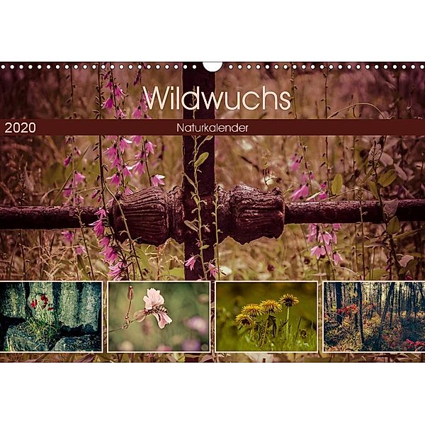 Wildwuchs 2020 (Wandkalender 2020 DIN A3 quer), Marianne Drews