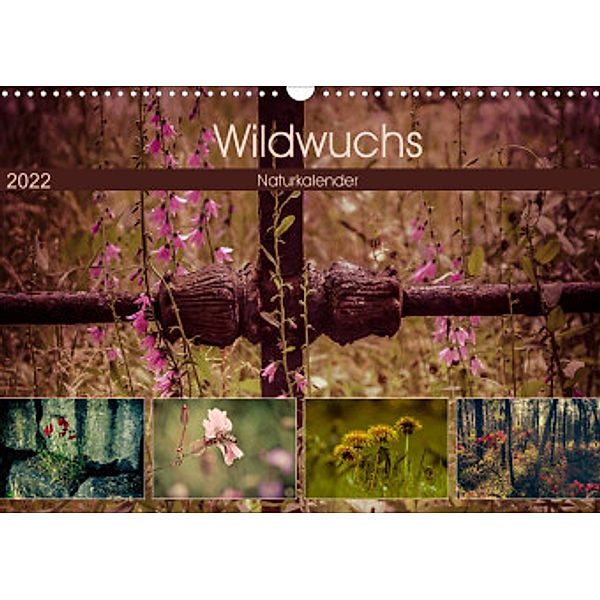 Wildwuchs 2022 (Wandkalender 2022 DIN A3 quer), Marianne Drews