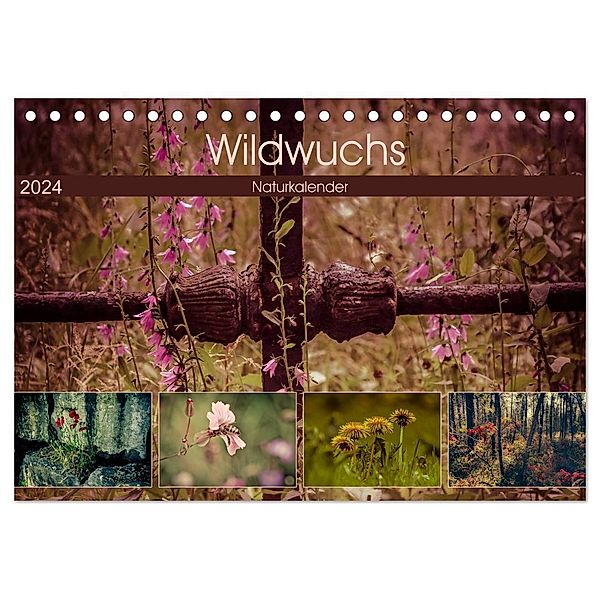 Wildwuchs 2024 (Tischkalender 2024 DIN A5 quer), CALVENDO Monatskalender, Marianne Drews