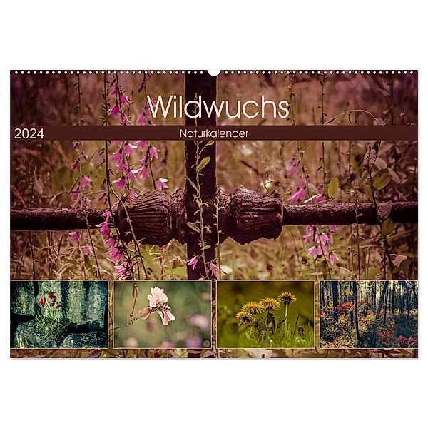 Wildwuchs 2024 (Wandkalender 2024 DIN A2 quer), CALVENDO Monatskalender, Marianne Drews