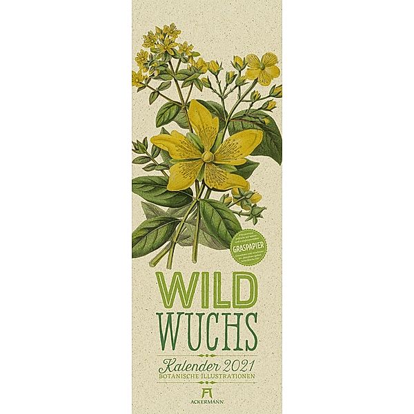 Wildwuchs - Botanische Illustrationen - Graspapier-Kalender 2021, Anne Pratt