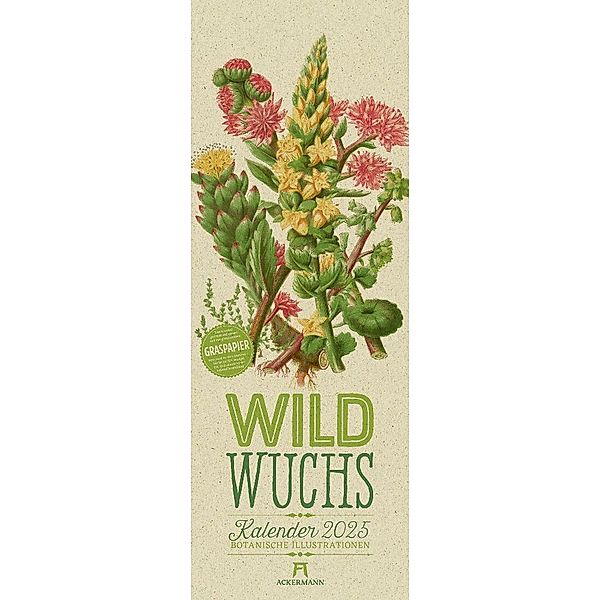 Wildwuchs - Botanische Illustrationen - Graspapier-Kalender 2025, Anne Pratt, Ackermann Kunstverlag