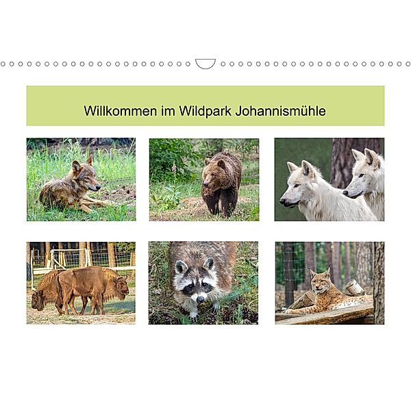 Willkommen im Wildpark Johannismühle (Wandkalender 2023 DIN A3 quer), Christoph Ebeling