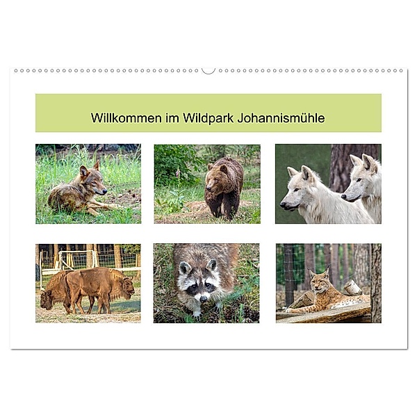Willkommen im Wildpark Johannismühle (Wandkalender 2024 DIN A2 quer), CALVENDO Monatskalender, Christoph Ebeling
