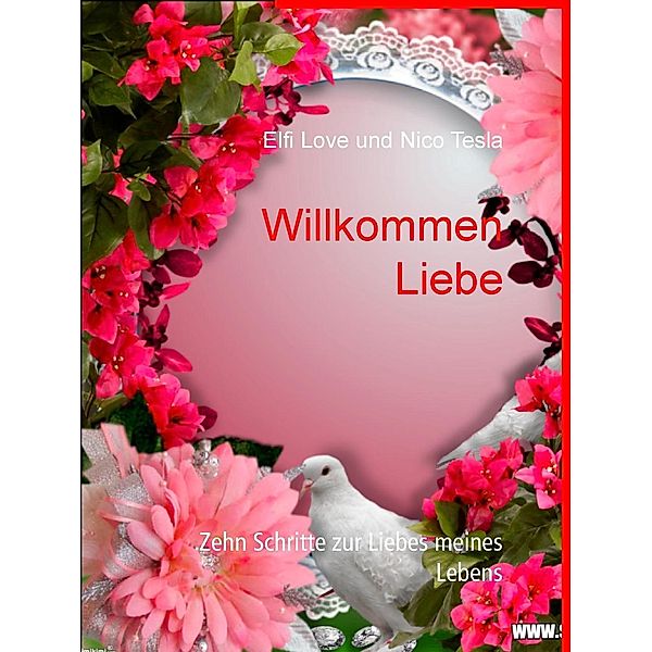 Willkommen Liebe, Elfi Love, Nico Tesla