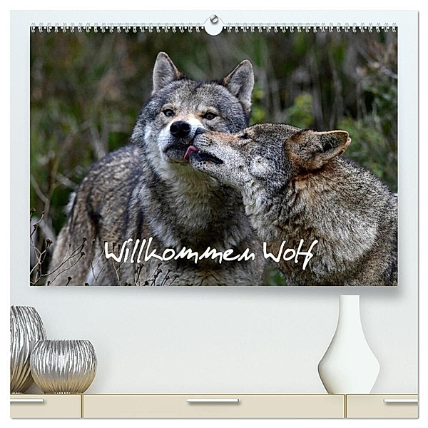 Willkommen Wolf (hochwertiger Premium Wandkalender 2024 DIN A2 quer), Kunstdruck in Hochglanz, Benny Trapp