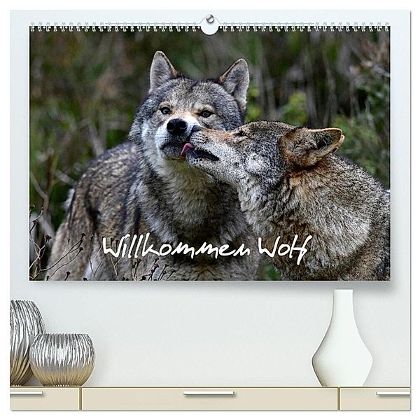 Willkommen Wolf (hochwertiger Premium Wandkalender 2025 DIN A2 quer), Kunstdruck in Hochglanz, Calvendo, Benny Trapp