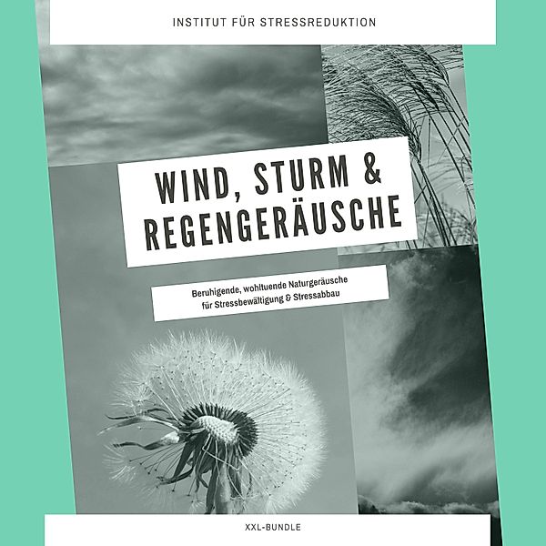 Wind, Sturm & Regengeräusche: Beruhigende, wohltuende Naturgeräusche für Stressbewältigung & Stressabbau, Institut für Stressabbau