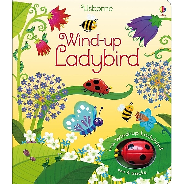 Wind-up Ladybird, Fiona Watt