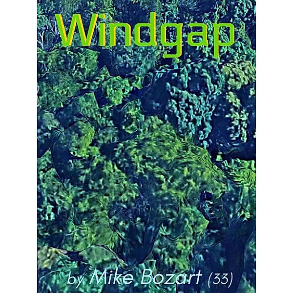 Windgap, Mike Bozart