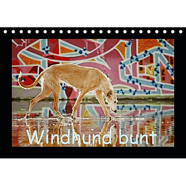 Windhund bunt (Tischkalender 2019 DIN A5 quer), Kathrin Köntopp