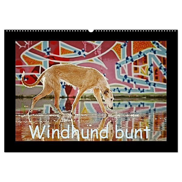 Windhund bunt (Wandkalender 2024 DIN A2 quer), CALVENDO Monatskalender, Kathrin Köntopp