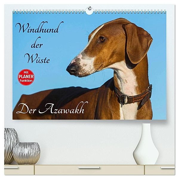 Windhund der Wüste - Der Azawakh (hochwertiger Premium Wandkalender 2024 DIN A2 quer), Kunstdruck in Hochglanz, Sigrid Starick