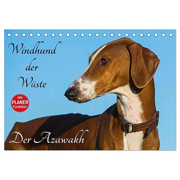 Windhund der Wüste - Der Azawakh (Tischkalender 2024 DIN A5 quer), CALVENDO Monatskalender, Sigrid Starick