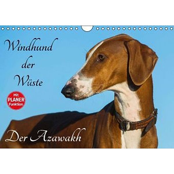 Windhund der Wüste - Der Azawakh (Wandkalender 2016 DIN A4 quer), Sigrid Starick