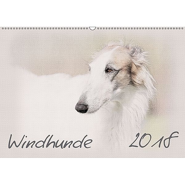 Windhunde 2018 (Wandkalender 2018 DIN A2 quer), Andrea Redecker