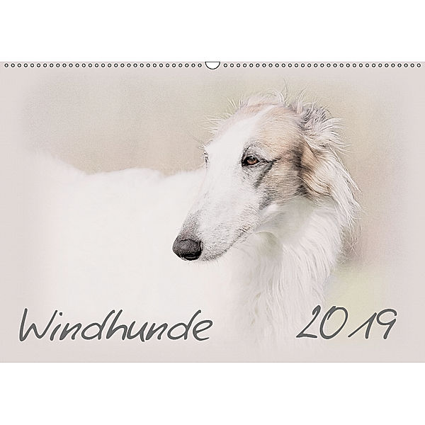 Windhunde 2019 (Wandkalender 2019 DIN A2 quer), Andrea Redecker