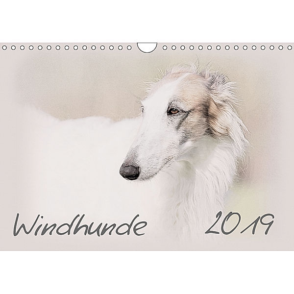 Windhunde 2019 (Wandkalender 2019 DIN A4 quer), Andrea Redecker