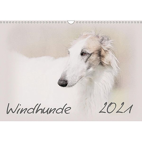 Windhunde 2021 (Wandkalender 2021 DIN A3 quer), Andrea Redecker