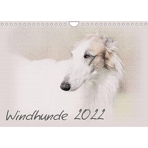 Windhunde 2022 (Wandkalender 2022 DIN A4 quer), Andrea Redecker