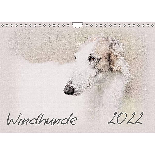 Windhunde 2022 (Wandkalender 2022 DIN A4 quer), Andrea Redecker