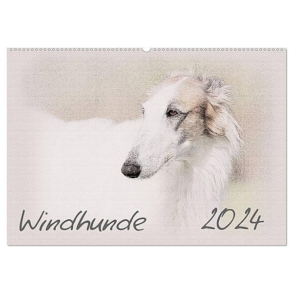 Windhunde 2024 (Wandkalender 2024 DIN A2 quer), CALVENDO Monatskalender, Andrea Redecker