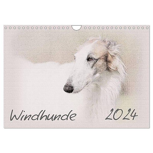 Windhunde 2024 (Wandkalender 2024 DIN A4 quer), CALVENDO Monatskalender, Andrea Redecker