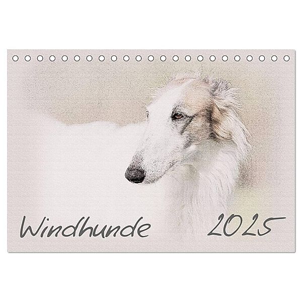 Windhunde 2025 (Tischkalender 2025 DIN A5 quer), CALVENDO Monatskalender, Calvendo, Andrea Redecker