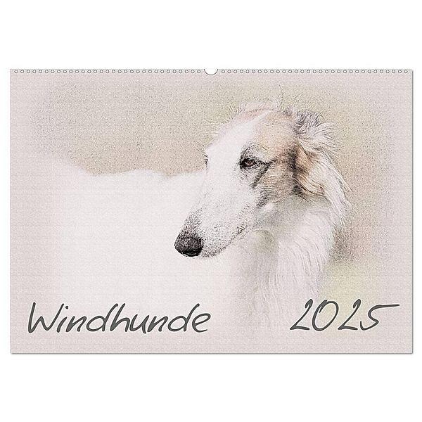 Windhunde 2025 (Wandkalender 2025 DIN A2 quer), CALVENDO Monatskalender, Calvendo, Andrea Redecker