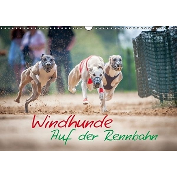 Windhunde auf der Rennbahn (Wandkalender 2015 DIN A3 quer), Armin Hauke