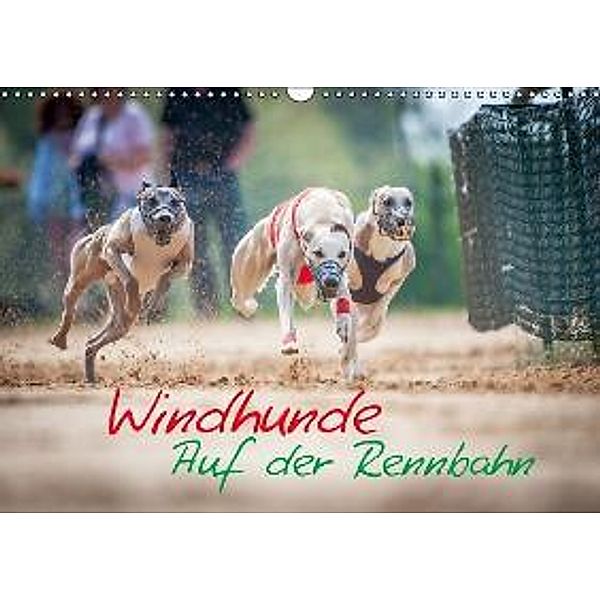 Windhunde auf der Rennbahn (Wandkalender 2016 DIN A3 quer), Armin Hauke