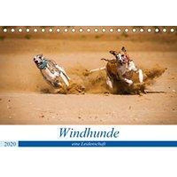 Windhunde - eine Leidenschaft (Tischkalender 2020 DIN A5 quer), Ula Redl